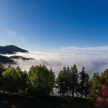 & Garten Porches Holiday home Playa del Ingles (Gran Canaria)