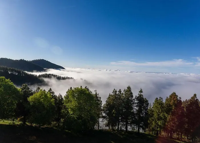 & Garten Porches Будинок відпочинку Плайя-дель-Інглес
