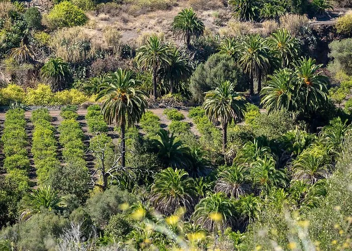 Casa de Férias & Garten Porches